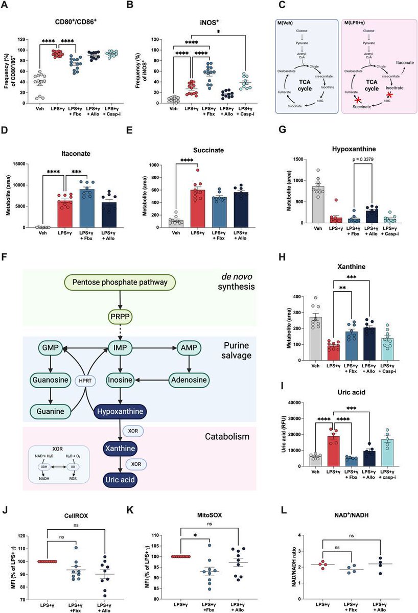 Did you know that febuxostat, unlike allopurinol, can stop inflammasome assembly and IL-1β release by inhibiting xanthine oxidoreductase? This discovery could change how we approach inflammation-related conditions #Inflammation #Research #HealthInnovation hubs.la/Q03nNxNq0