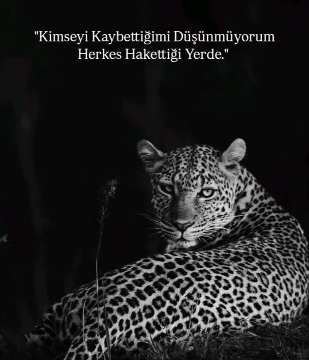 #İnsan
#dünya 
#yaşamak 
🍂🌱🕊🖤

Bazen, 
Bilgine değil "Hislerine" güvenirsin...

Duydukların ve  
Gördüklerinden öte, 
Hissettiklerinle hareket edersin...

• Kimde varsın, 
• Kimde yoksun, 
• Kimde çoksun, 
• Kime yüksün hissedersin...

Çoğu söze kulağını kapatır, 
Sadece