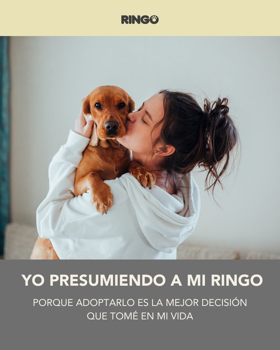 Efecto Ringo tweet media