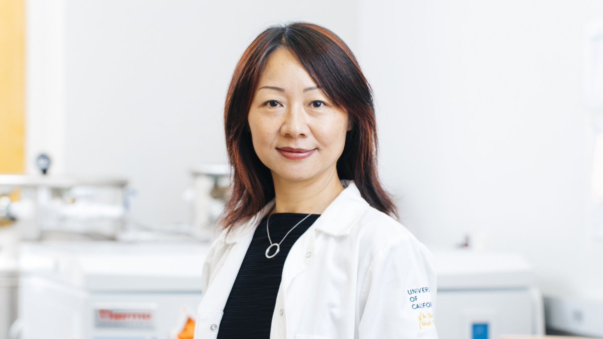 OncoDaily (@oncodaily) on Twitter photo Common Antidepressants Could Help the Immune System Fight Cancer, <a href="/UCLA/">UCLA</a> Study Finds
<a href="/LiliYangLab/">Lili Yang Engineering Immunity Lab</a> <a href="/UCLAstemcell/">UCLA Broad Stem Cell</a>
oncodaily.com/science/antide…
#OncoDaily #Oncology #Cancer #Health #Medicine #MedTwitter #MedEd #MedOnc #MedNews #Antidepressant #Prozac #Celexa #SSRIs #UCLA Common Antidepressants Could Help the Immune System Fight Cancer, <a href="/UCLA/">UCLA</a> Study Finds
<a href="/LiliYangLab/">Lili Yang Engineering Immunity Lab</a> <a href="/UCLAstemcell/">UCLA Broad Stem Cell</a>
oncodaily.com/science/antide…
#OncoDaily #Oncology #Cancer #Health #Medicine #MedTwitter #MedEd #MedOnc #MedNews #Antidepressant #Prozac #Celexa #SSRIs #UCLA