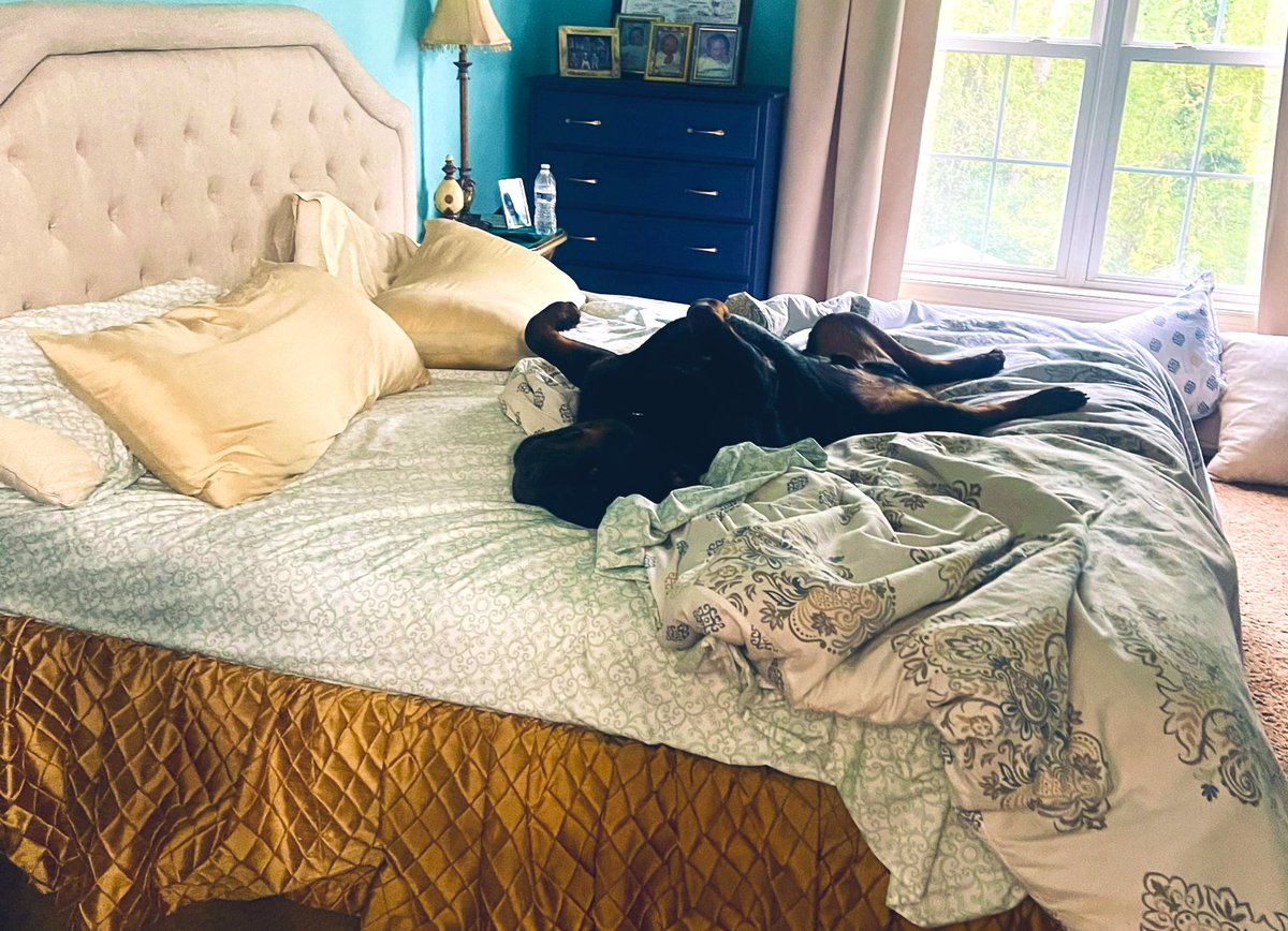 Julie Carpenter tweet media