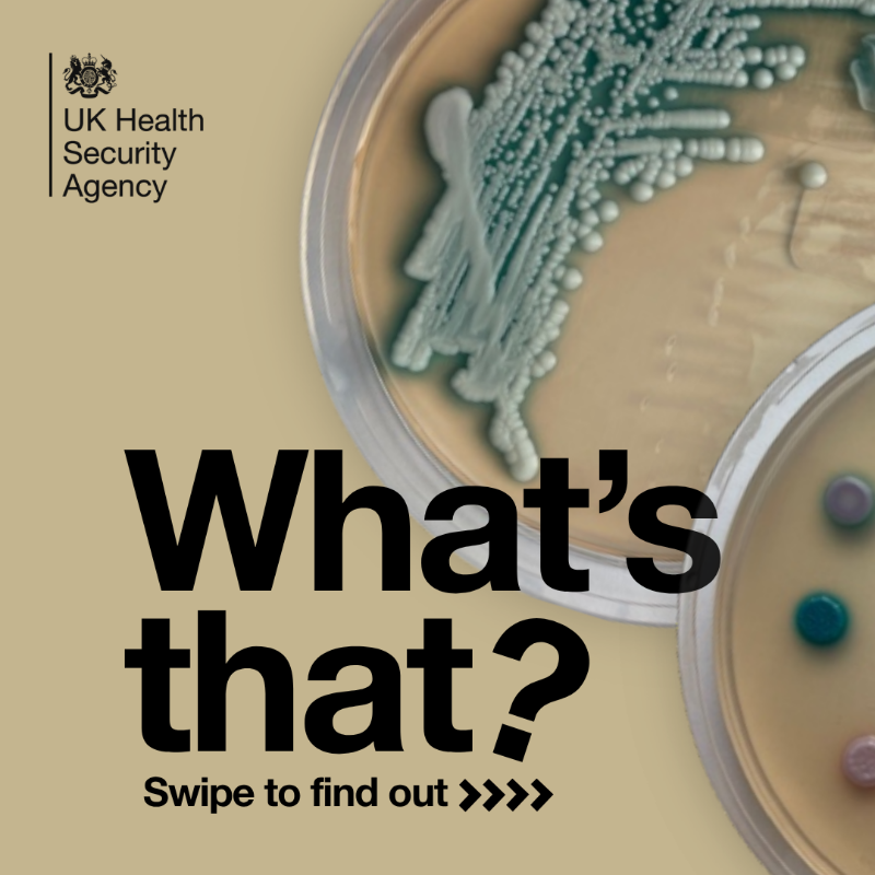 UKHSA's tweet photo. Candida species are usually part of our normal flora, but Candidozyma auris stands out, as it can spread between people more easily than most other types. This, and the fact that all Candida species can cause serious infections in people at high risk, makes it one to watch. ⚠️🧫