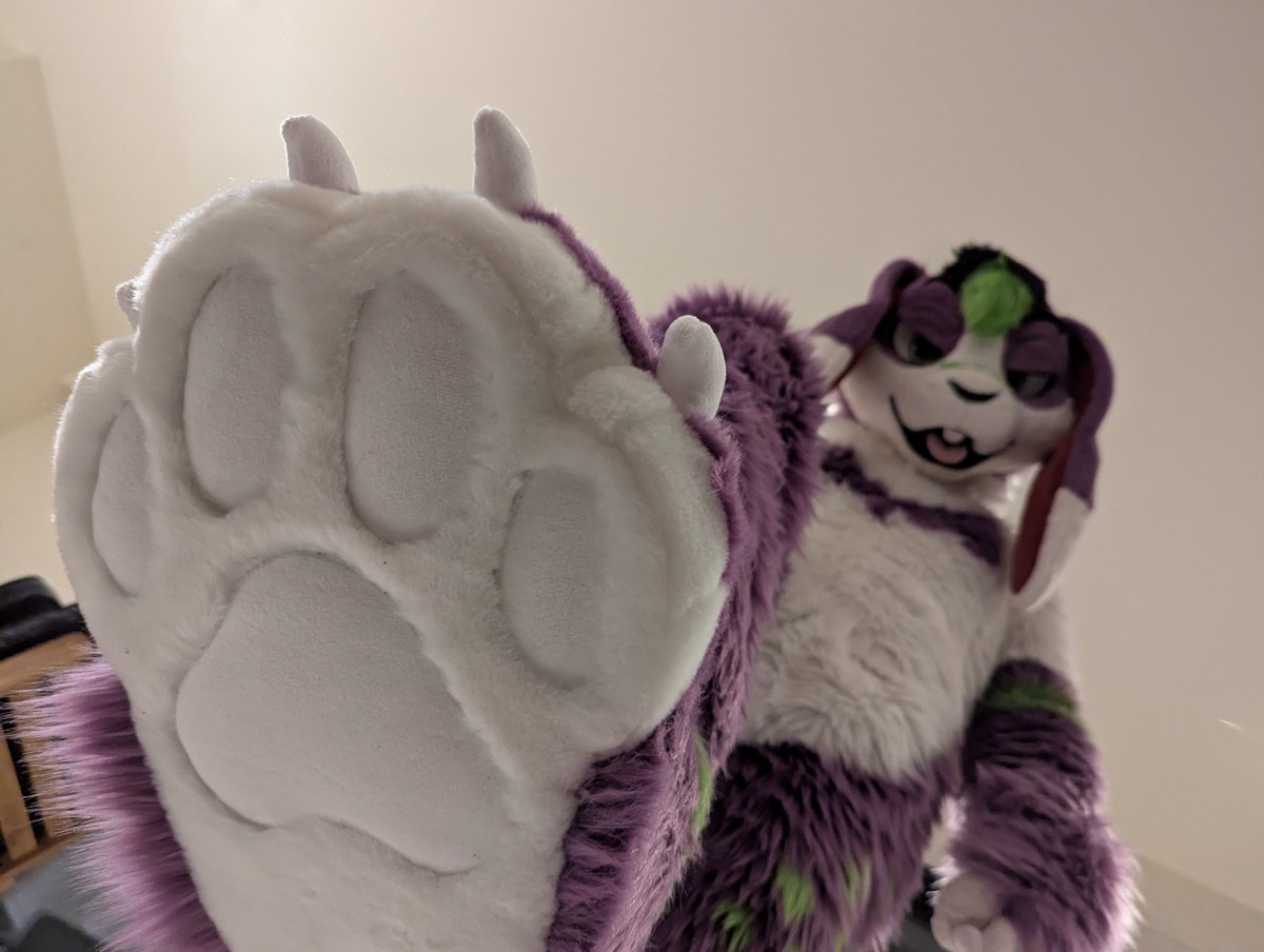 Maxetto | 🔜 Awoostria 🔜 TFI 🔜 EAST (@maxettobuni) on Twitter photo Sorry for the very late #PawDay but I was busy collecting the paws from <a href="/VarrosCreations/">Varro's Creations</a>
You're now soon to get stomped.
#FursuitFriday Sorry for the very late #PawDay but I was busy collecting the paws from <a href="/VarrosCreations/">Varro's Creations</a>
You're now soon to get stomped.
#FursuitFriday