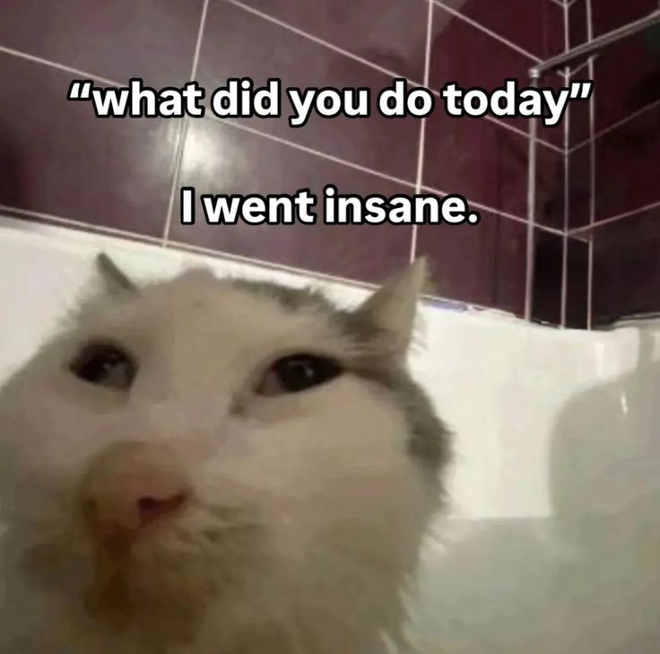 recherche rpl 

salut je suis de retour pour vous jouer un mauvais tour (non jviens de naître) et je cherche des mutus, ici on se marre comme des ptits fous c'est promis 
(pas des masses actifs en dm pour les prochains jours mais jreviens vite)

Rt / fav apprécié 
jfollow back !!