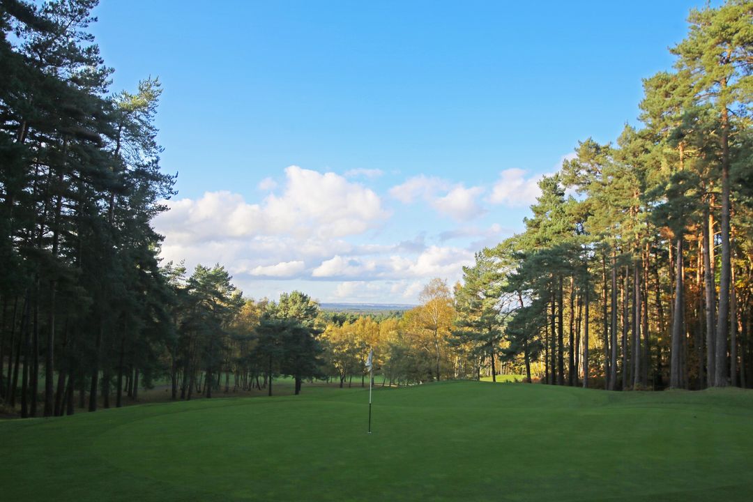 Your Golf Travel (@yourgolftravel) on Twitter photo Is this the best value golf break in the South? ๐
Play one of the most unforgettable downhill par-4s you'll ever experience!
๐๏ธโโ๏ธ 1 Night, 2 Rounds โ from just ยฃ159pp
๐ป Free drink on arrival
๐๏ธโโ๏ธ Range token for 50 balls
๐ฅ 1 in 12 goes FREE!
yourgolftravel.com/old-thorns-golโฆ Is this the best value golf break in the South? ๐
Play one of the most unforgettable downhill par-4s you'll ever experience!
๐๏ธโโ๏ธ 1 Night, 2 Rounds โ from just ยฃ159pp
๐ป Free drink on arrival
๐๏ธโโ๏ธ Range token for 50 balls
๐ฅ 1 in 12 goes FREE!
yourgolftravel.com/old-thorns-golโฆ