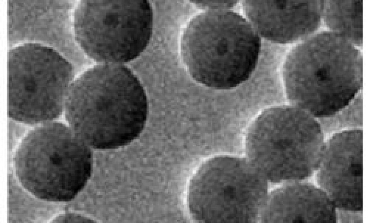 Club Español de Magnetismo (@cemagnetismo) on Twitter photo ¡Oportunidad de doctorado en nanociencia!
📍 UCLM (Ciudad Real)
🧠 Nanoparticle-Assembled Films for Neuromorphic Devices
📅 20/06
🧪 Gas-phase synthesis, percolación, modelado, caracterización
👨🏫 Dr. P. Grammatikopoulos
📩 p.grammatikopoulos@uclm.es
buff.ly/4vgaBBo
#PhD ¡Oportunidad de doctorado en nanociencia!
📍 UCLM (Ciudad Real)
🧠 Nanoparticle-Assembled Films for Neuromorphic Devices
📅 20/06
🧪 Gas-phase synthesis, percolación, modelado, caracterización
👨🏫 Dr. P. Grammatikopoulos
📩 p.grammatikopoulos@uclm.es
buff.ly/4vgaBBo
#PhD