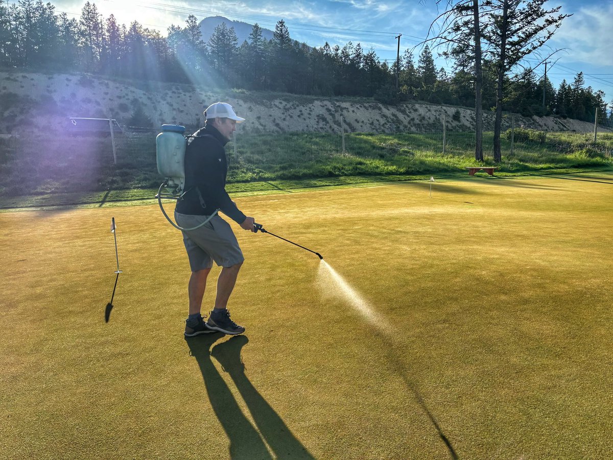 Mark Jull tweet media