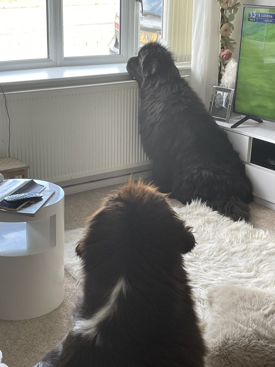 lisa slade tweet media