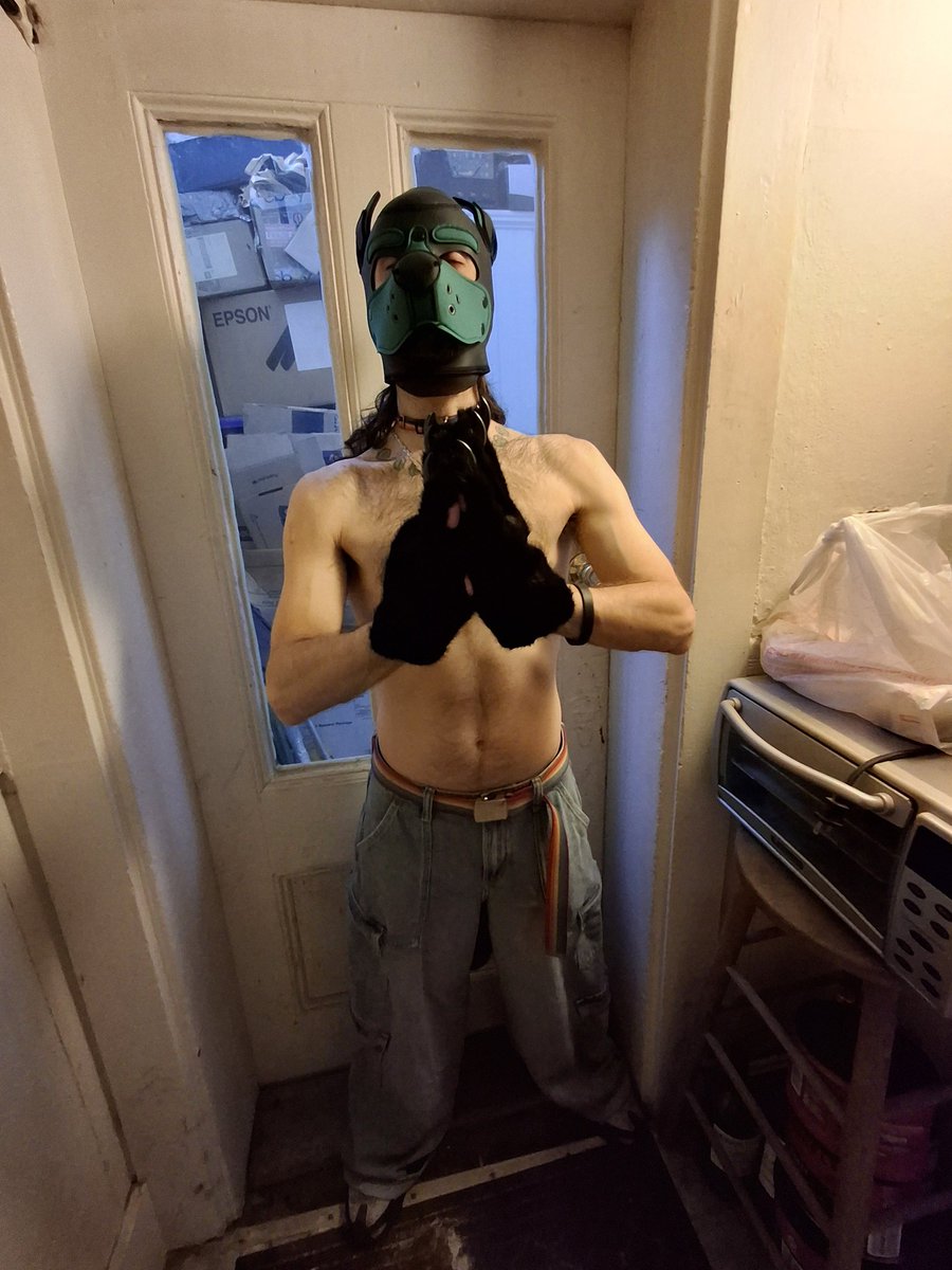 RBE_Zeitgeist's tweet photo. Zeggie pup rollerblading revolutionary the fiery passion of love and compassion burn brightly Within Me. 
Zeggie pup has new tail Zeggie pup has pink tail Zeggie pup likes tail what other furry accessories should Zeggie pup try next 🐕🦮🐶🐾🐺🙀🐱🦄🦊🐇🐈‍⬛🌎✌️🛼 https://t.co/8CxLWmKxzE
