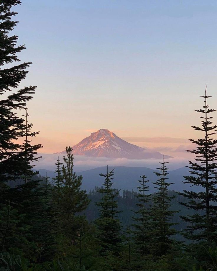 For purple mountain majesties