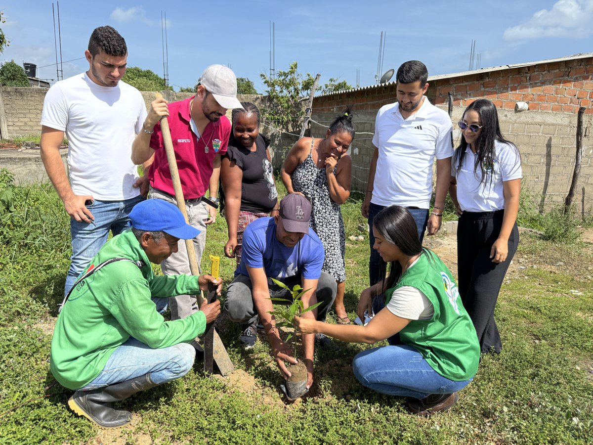 En la Institución Educativa Nuestra Señora del Pilar y en la urbanización Bella Vista, Dibulla, se desarrolló esta actividad en el marco del convenio TAY-PIS-003 2024 Jornada de Mejoramiento Paisajístico, Siembra y Mantenimiento de Árboles.