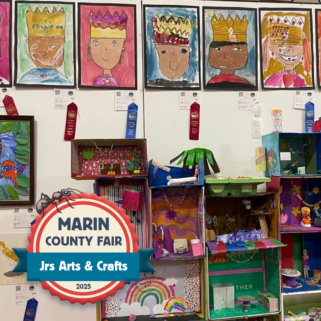 marinfair's tweet photo. Hey junior artists & crafters! π Thereβs still time enter your pieces in the Marin County Fair Competitive Exhibits. The deadline is creeping up fast, donβt let it crawl past you!
π Deadline is June 15th
π·οΈ Visit https://t.co/DNtlOjApeS
#MarinCountyFair #BugTastic #MarinFair https://t.co/rkPbU44vkW