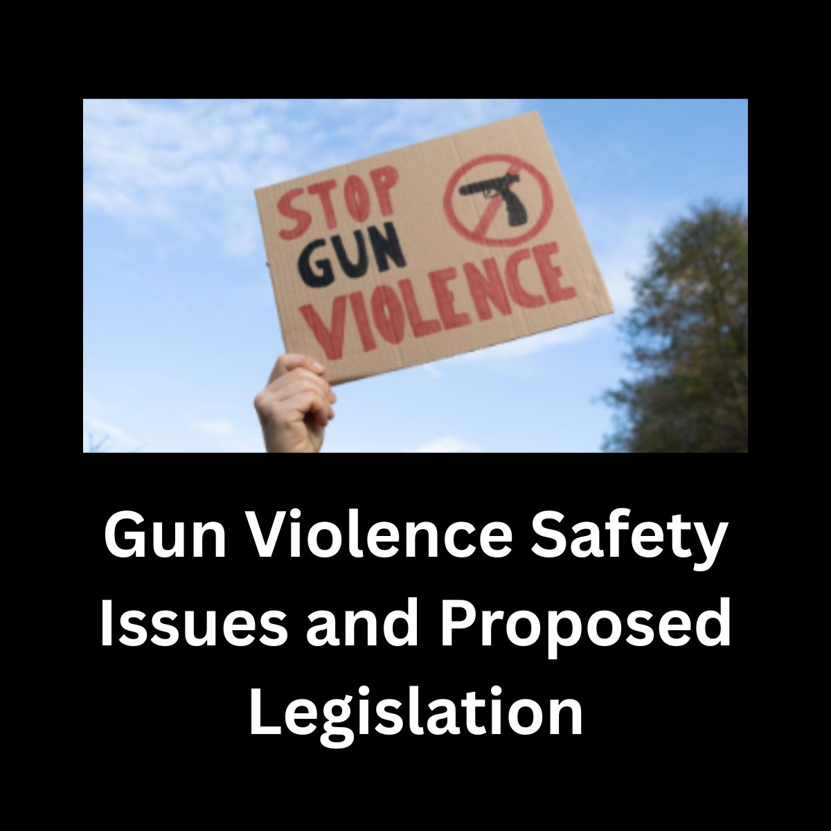 @ChicagoWomenTakeAction tweet media