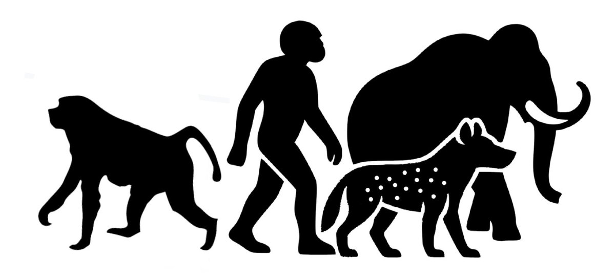 YacimientoV's tweet photo. 4️⃣ TAXONES DE LAS  ➕ DE 1️⃣0️⃣0️⃣ ESPECIES LOCALIZADAS EN EL YACIMIENTO PALEOANTROPOLÓGICO DE CUEVA VICTORIA 🐾 🦣 🇩🇰 | EL ESTRECHO DE SAN GINÉS 

🫆 THEROPHITECUS OSWALDI 
🫆 HOMO SP. ANTRUM VICTORIA
🫆 PACHICOCRUTHA BEVIROSTRIS 
🫆 MAMMUTHUS MERIDIONALIS https://t.co/VlnFT092Um