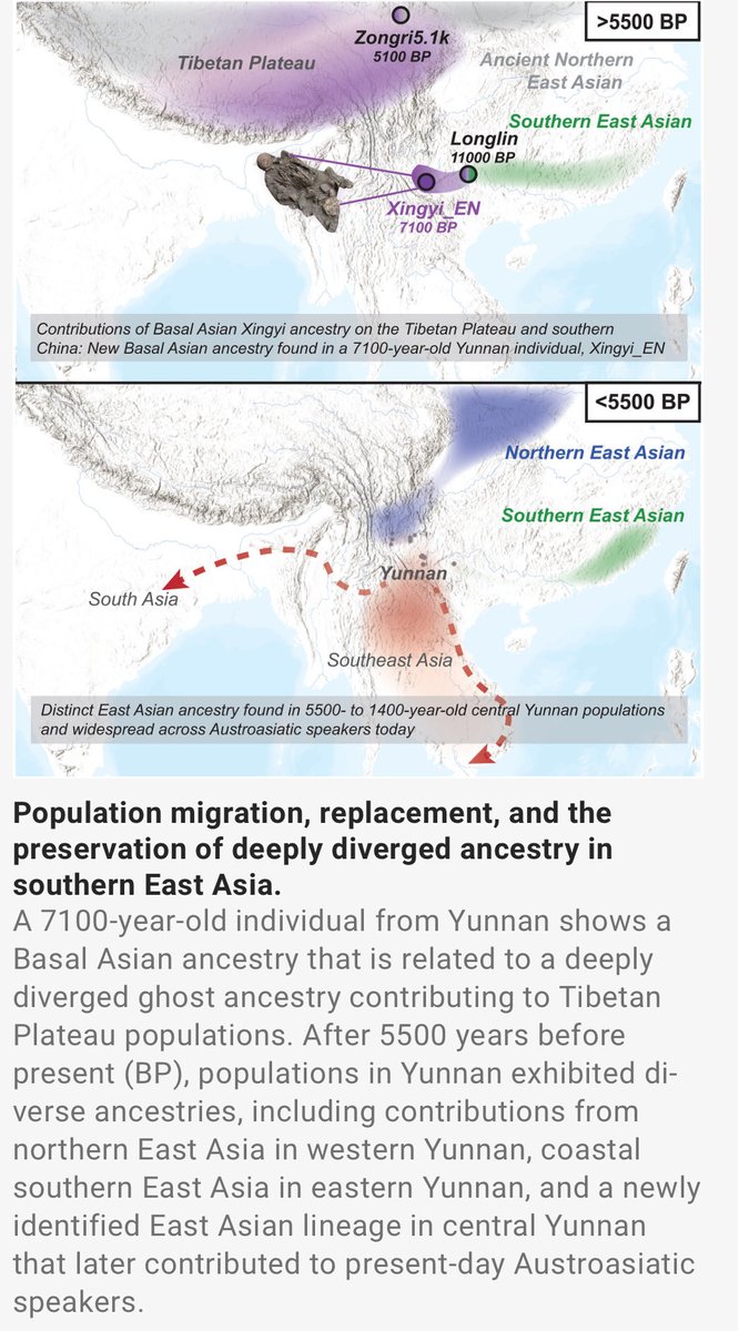 Wonderful to have genuine &gt;6kya DNA from Yunnan. Amazing paper by <a href="/wwTianyiww/">Tianyi Wang</a>!
Ancient South Asia and Australasia were seemingly brimming with diverse groups of which only a few survive unadmixed (Onge). Im sure more sampling will reveal even more diversity and hidden connections