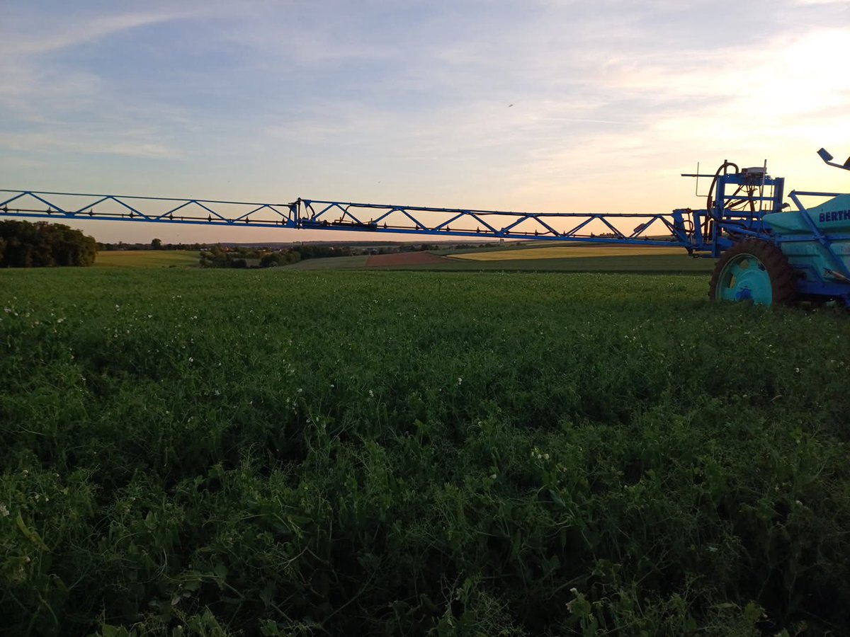 OlivierCOSTE2's tweet image. Après 10mm hier matin @BONNIN1402 .
#VisMaVieChezUnAgriculteur dit bye-bye à nos 🫛 de printemps du #PlanProteines. 
Bonne soirée .
@terresinovia 
@terresoleopro 
@FopProducteurs