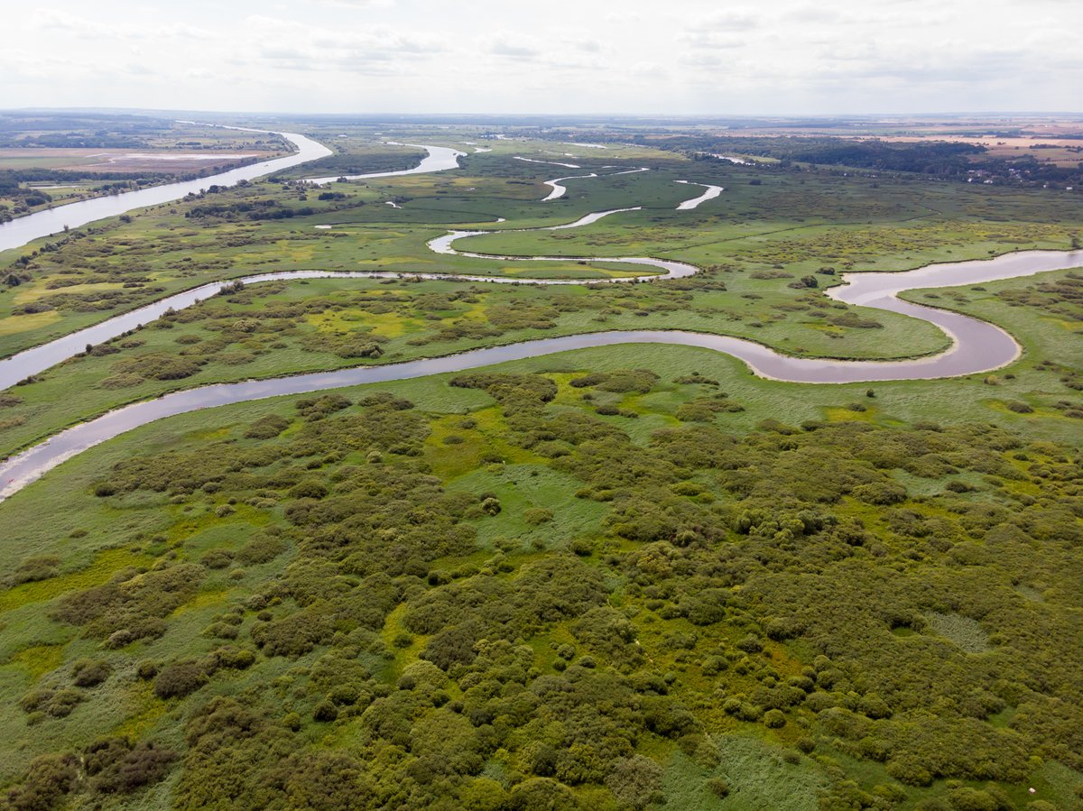 Mamy to! Historyczny dzień!
Wszystkie samorządy poparły utworzenie na Międzyodrzu Parku Narodowego Doliny Dolnej Odry!
Dziś zdecydowanie ZA zagłosowali radni sejmiku województwa zachodniopomorskiego (18 za, 9 przeciw, 1 wstrzymujący).