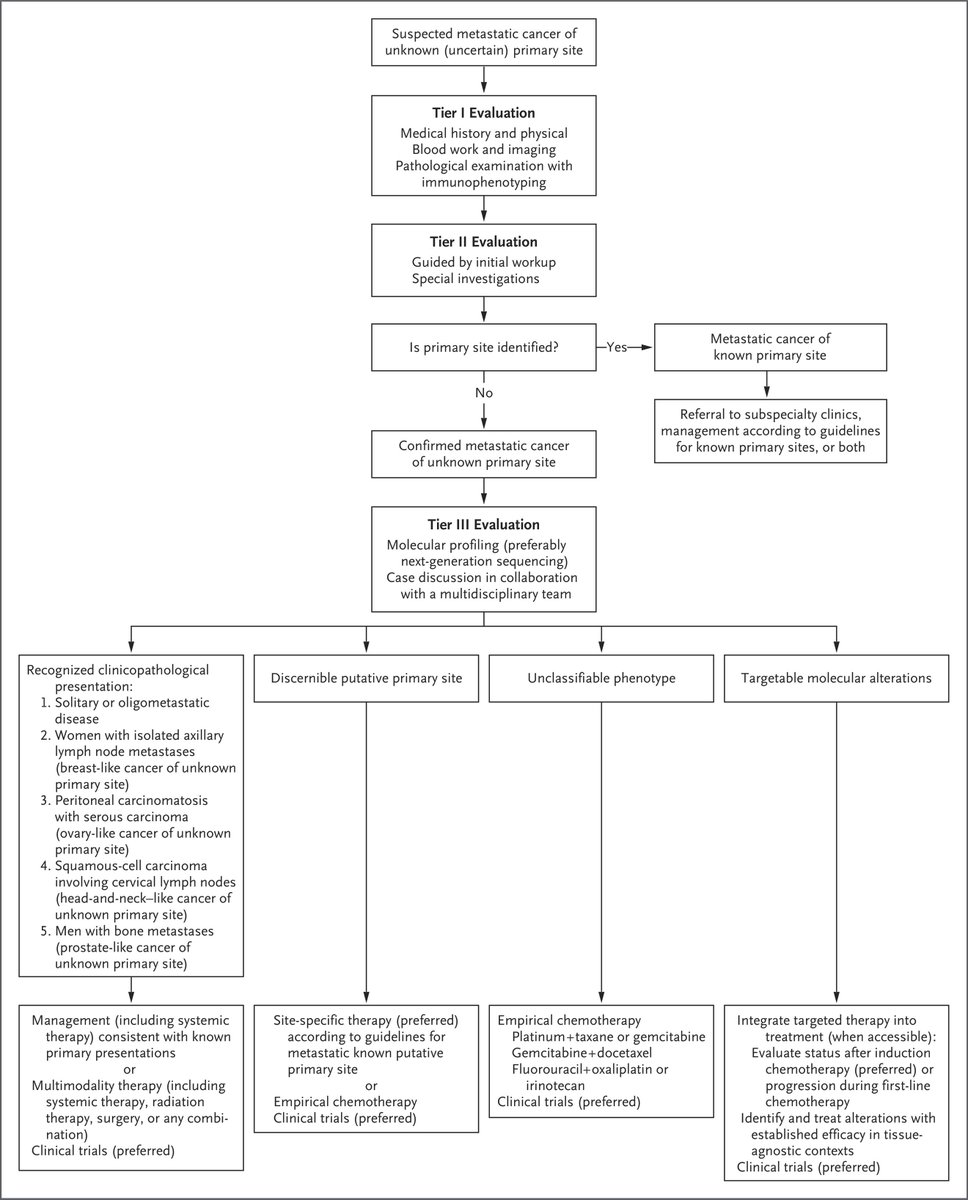 Keith Siau (@drkeithsiau) on Twitter photo Cancer of unknown primary <a href="/NEJM/">NEJM</a> 💡
1️⃣ Clues to the primary site
2️⃣ Diagnostic workup
3️⃣ Immunohistochemistry
4️⃣ Management algorithm
📸: nejm.org/doi/full/10.10… Cancer of unknown primary <a href="/NEJM/">NEJM</a> 💡
1️⃣ Clues to the primary site
2️⃣ Diagnostic workup
3️⃣ Immunohistochemistry
4️⃣ Management algorithm
📸: nejm.org/doi/full/10.10…