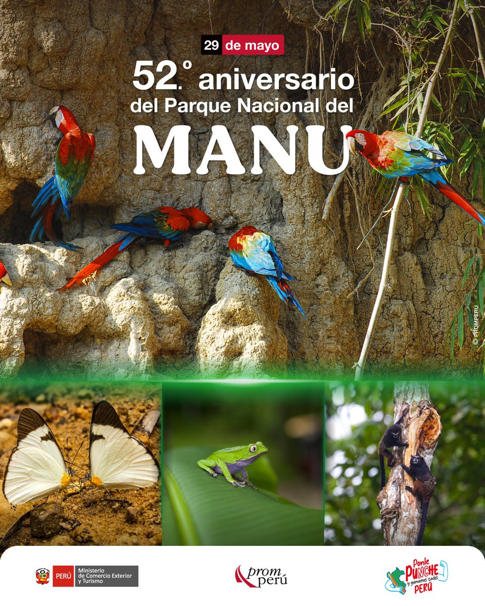 Señal Verde Del Bosque De Newlands En El Parque Nacional De La Montaña De  La Mesa Que Muestra Información Foto E Imagen Para Descarga Gratuita -  Pngtree, image size:960x1200