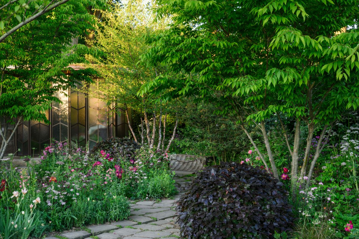 MEDITE SMARTPLY tweet media