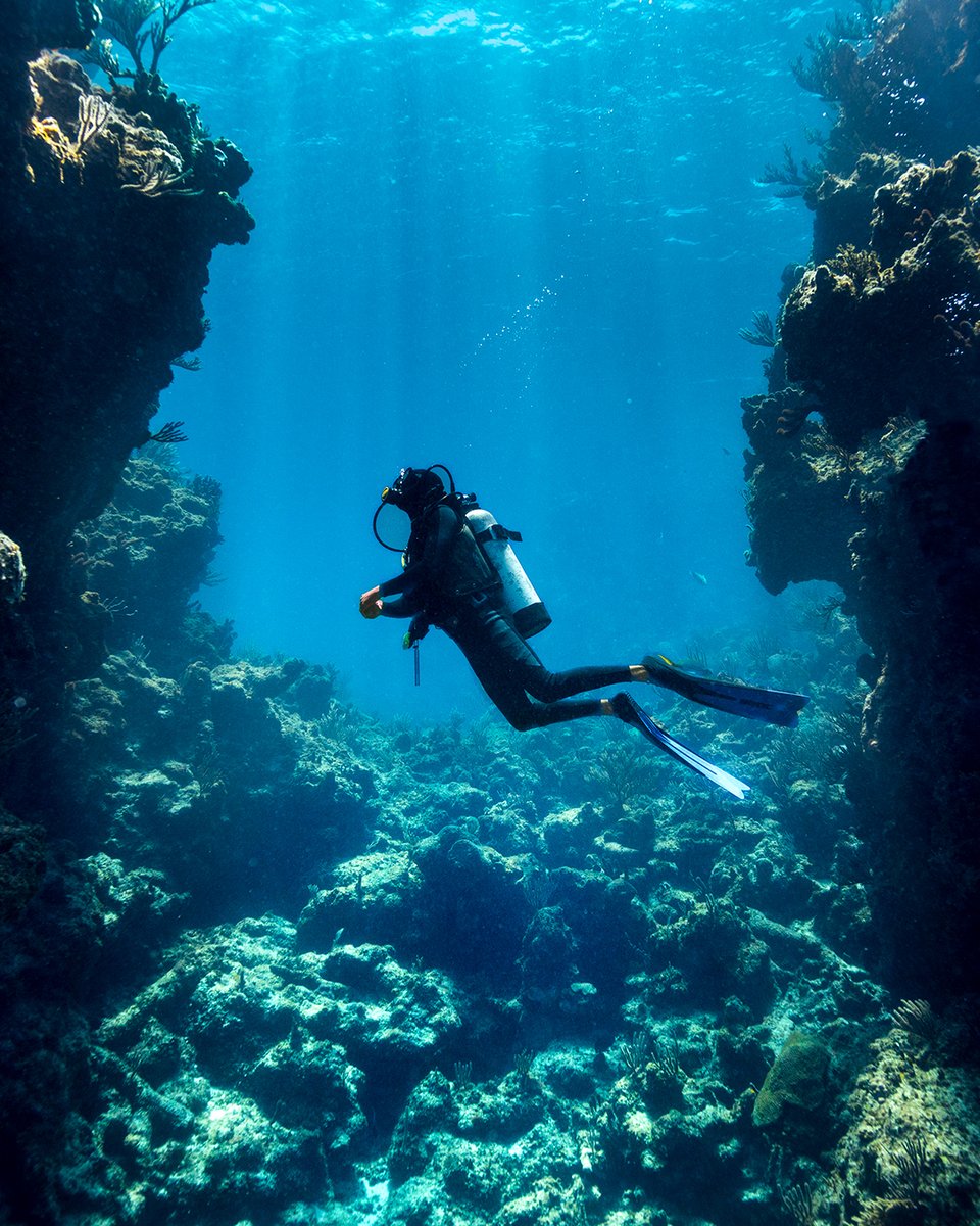 Una vida llena de emociones le espera justo bajo la superficie: desde la tercera barrera de coral más grande del mundo hasta innumerables agujeros azules, cuevas y cavernas, no hay mejor lugar para darse un chapuzón. #TheAbacos #TheBahamas  #LifetimeofIslands