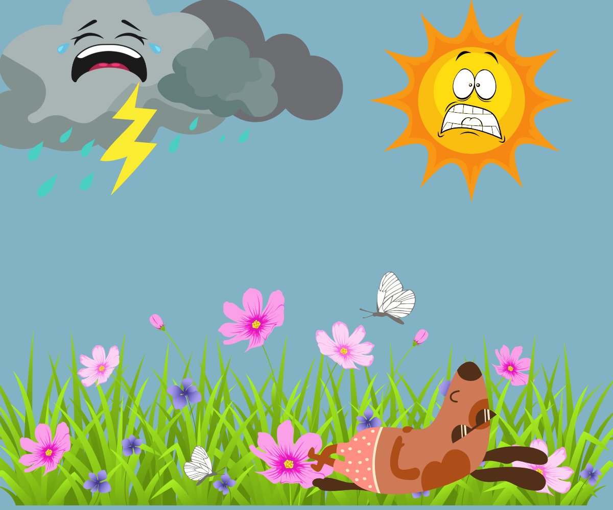 Mother Nature can be unpredictable in Laramie, especially when it comes to hail and rainstorms. Is your property protected?

We understand how stressful it can be watching storm clouds roll in. That's why we're here to help find the right coverage.