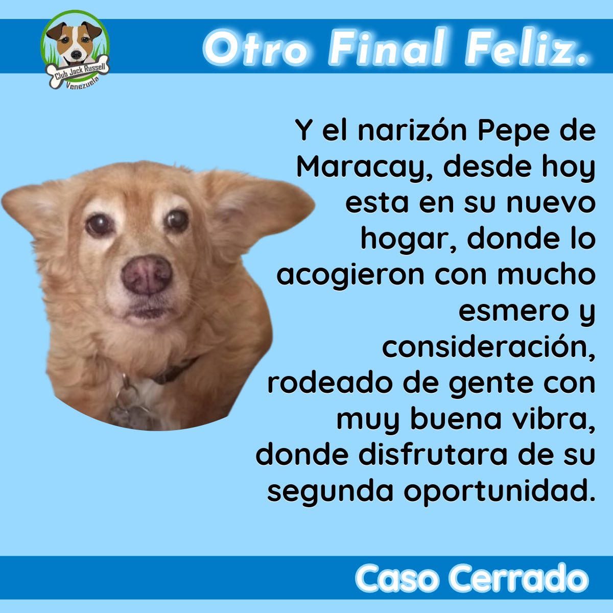 #OtroFinalFeliz

Y el narizón Pepe de #Maracay, desde hoy esta en su nuevo hogar, donde lo acogieron con mucho esmero y consideración, rodeado de gente con muy buena vibra, donde disfrutara de su #segundaoportunidad.

Caso Cerrado