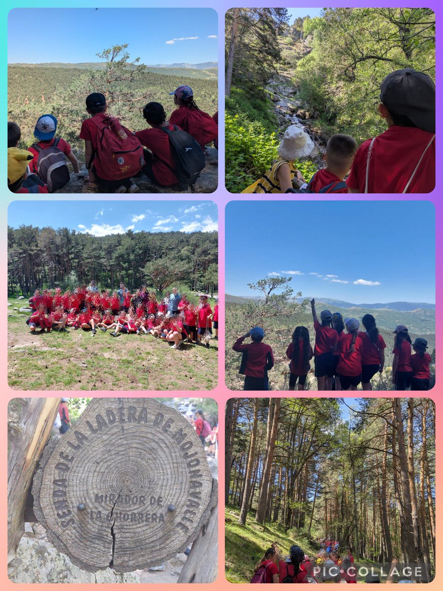 CEIP LUIS CERNUDA (@cpluiscernuda) on Twitter photo Hoy los grupos de 3º y 4º han hecho una senda desde el Área recreativa del Puerto de Canencia a la Chorrera de Mojonavalle: 4,9 km de ruta entre abedules, pinos, acebos, algún tejo y unas vistas increíbles. ¡Lo han pasado en grande! <a href="/AbalosAlvarezLu/">Lucia Abalos</a> Hoy los grupos de 3º y 4º han hecho una senda desde el Área recreativa del Puerto de Canencia a la Chorrera de Mojonavalle: 4,9 km de ruta entre abedules, pinos, acebos, algún tejo y unas vistas increíbles. ¡Lo han pasado en grande! <a href="/AbalosAlvarezLu/">Lucia Abalos</a>