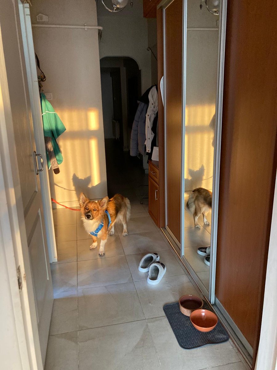 Akşam güneşi güzele miydi