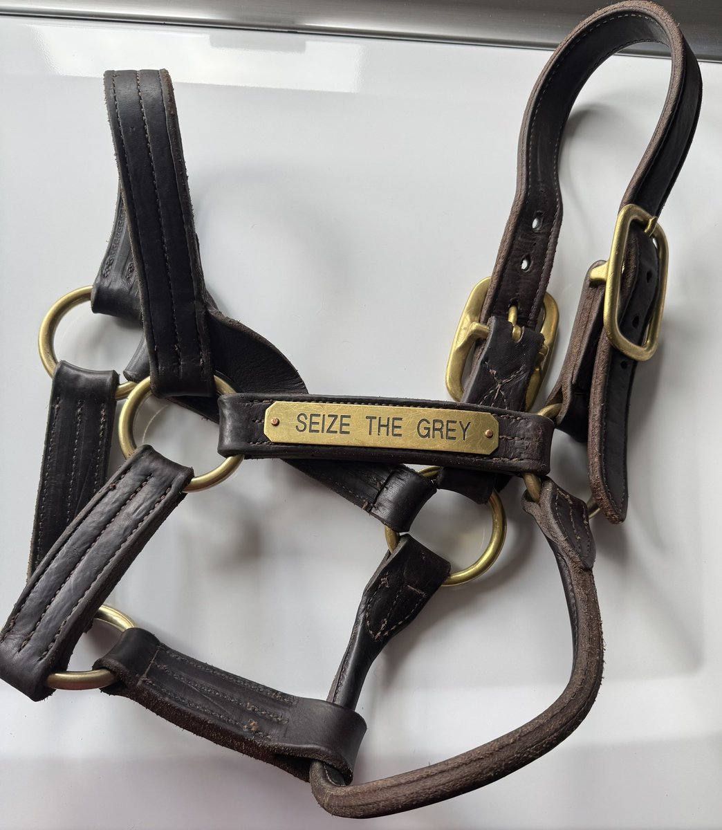 Fred Kray Author BROKEN-Suspicious Death of Alydar tweet media