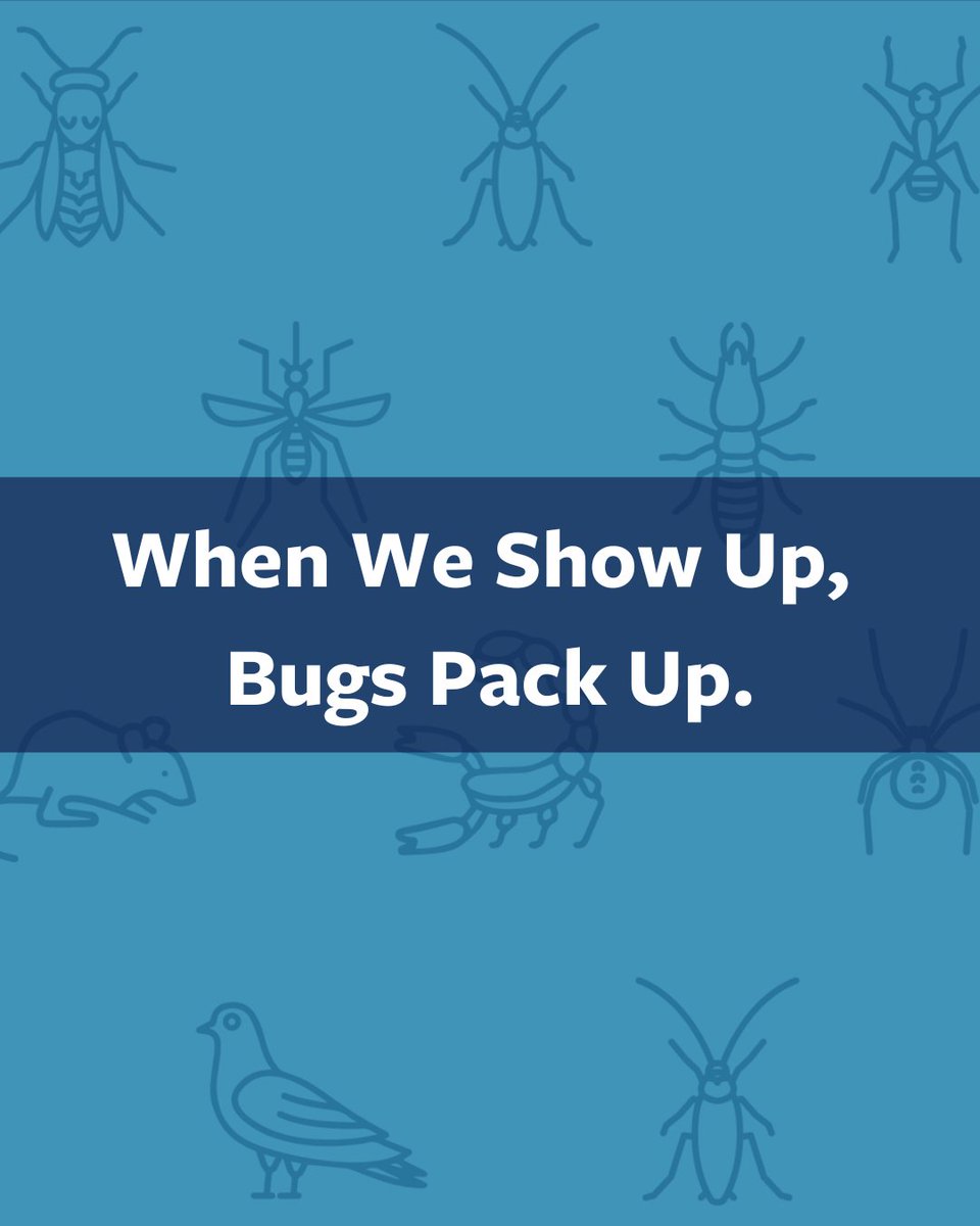 PhxPestControl's tweet image. From scorpions to termites — we don’t just treat the problem, we shut it down.

Schedule your inspection and take your home back!

varsitytermiteandpestcontrol.com/contact

#ChampionsAgainstPests #VarsityPestControl #ArizonaPestControl
