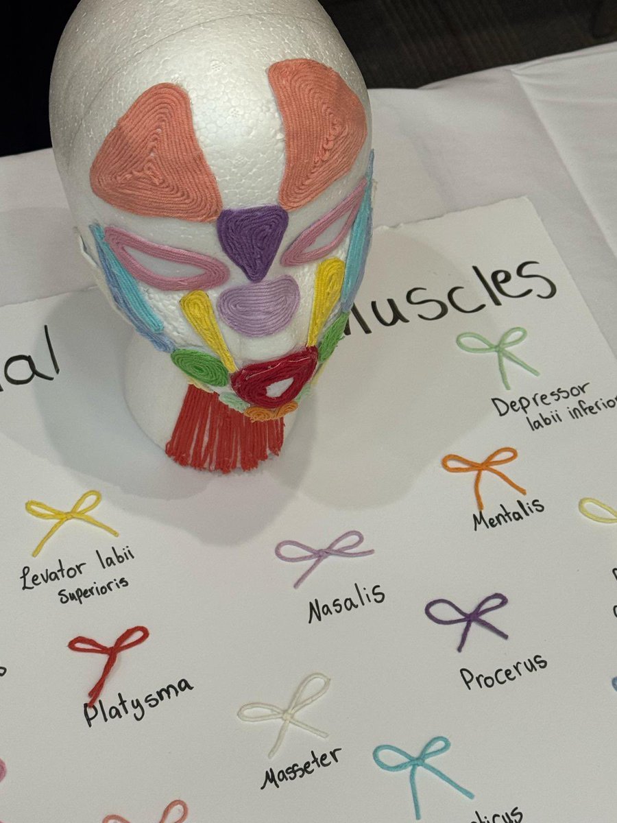 Celebrating the launch of the first Speech and Language Pathology program in Qatar!

The program aligns with Qatar University's, QU Health's and the College of Health Sciences' plans to expand program offerings to include professional programs of international scope and caliber.