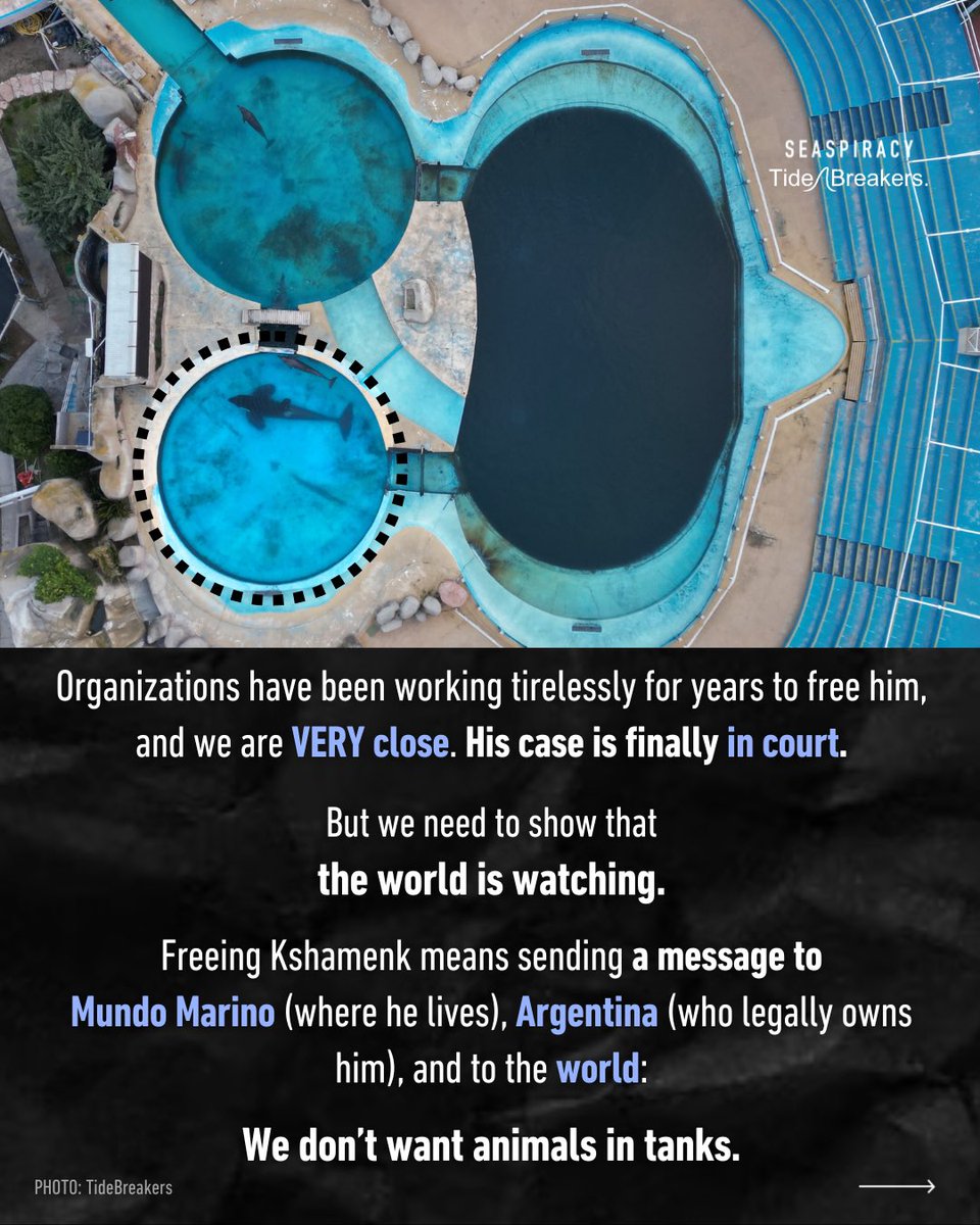 TideBreakers tweet media