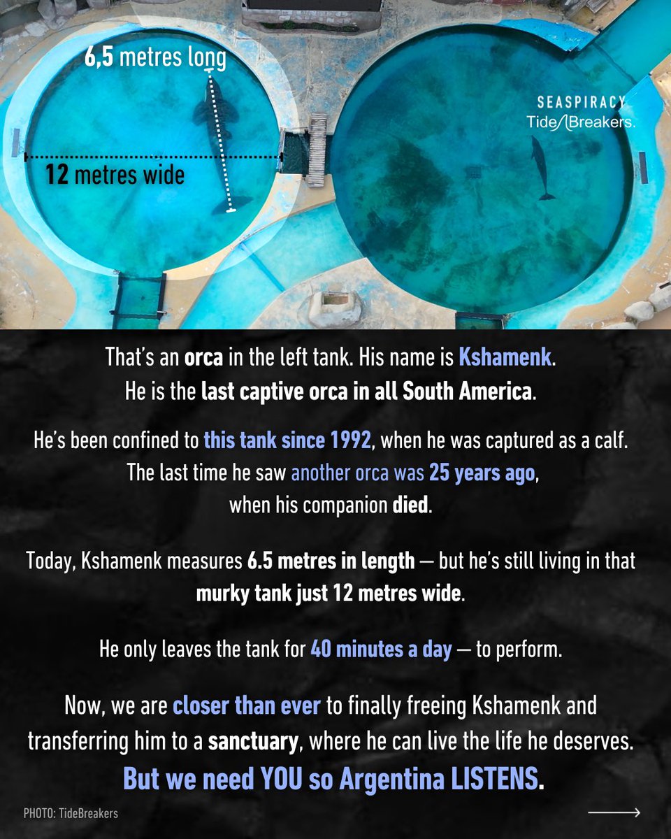 TideBreakers tweet media