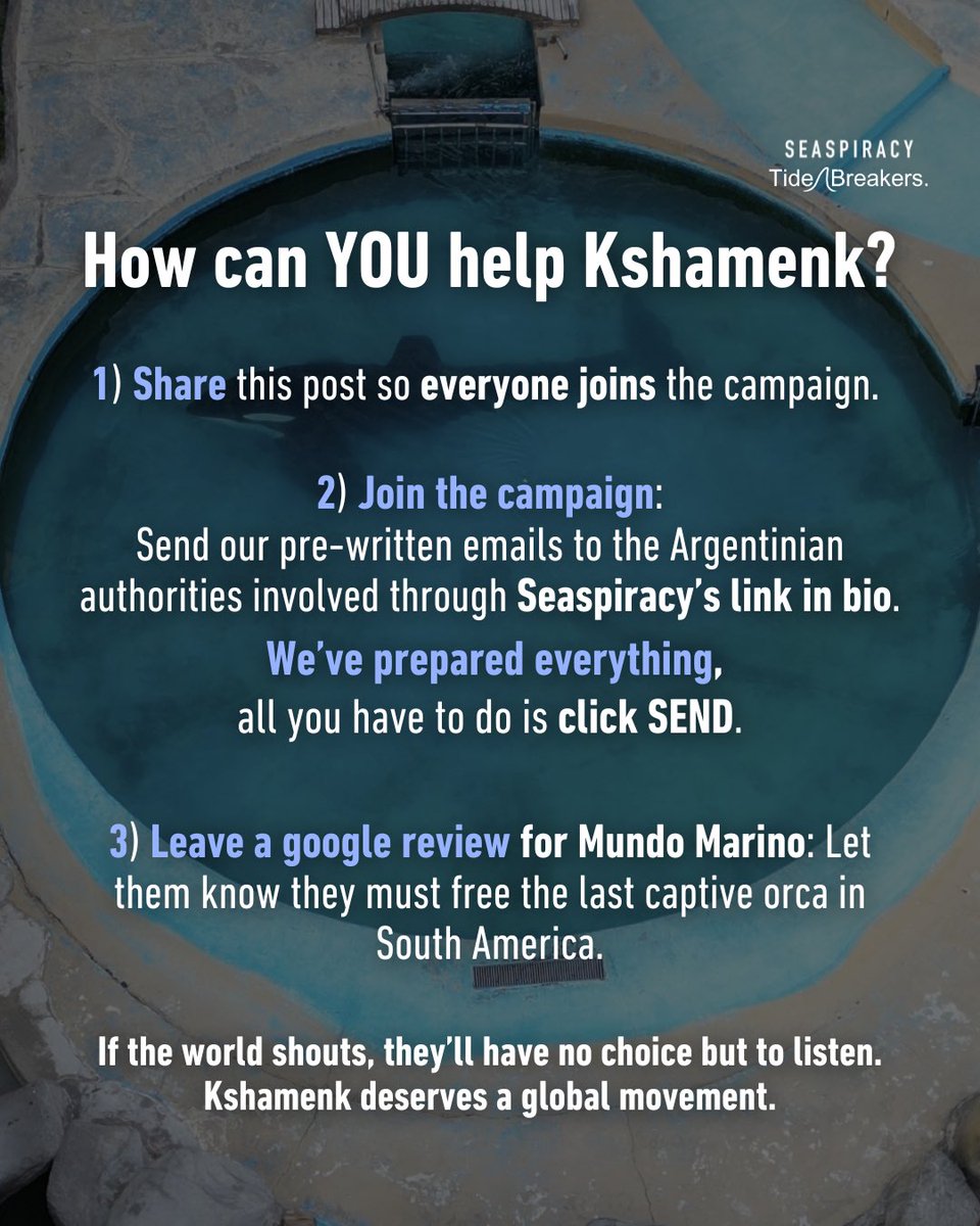 TideBreakers tweet media