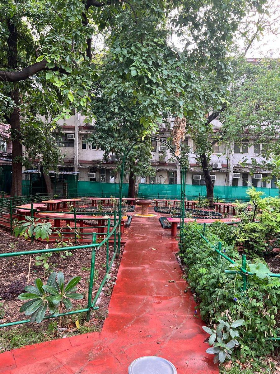 “Rajasv Van”, a micro forest at Vikas Bhawan,Delhi, was inaugurated by Pr.CCIT Sh. Prawin Kumar, IRS, in the presence of Ms. Rolee Agrawal, CCIT-4. Conceptualised by Ms Nandita Kanchan,PCIT-20,and aided by Sh. Rohit Mehra, the Forest Man,700+ plants were planted, aiming for 1000.