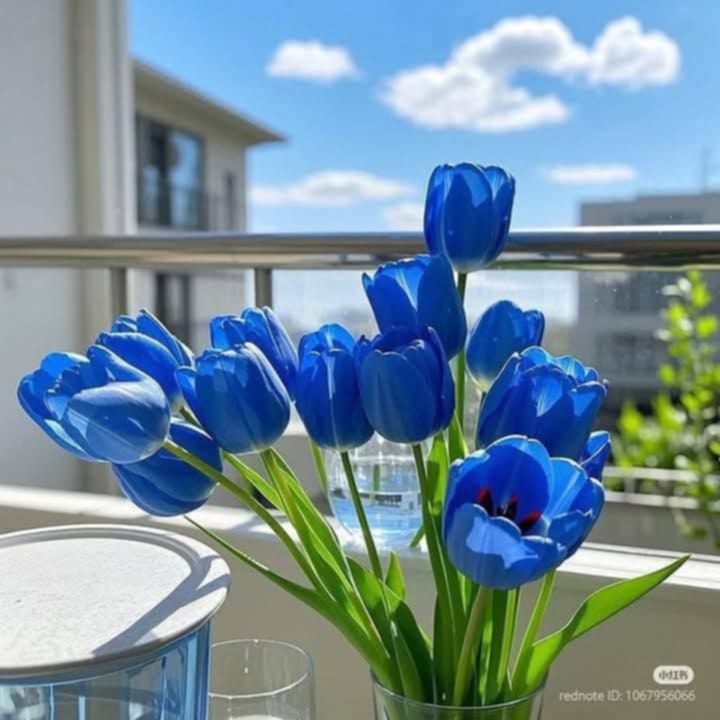Plaboni_Lisa's tweet photo. Tulips🌷💗🌷
#tulips #flowers #love #flowerlovers #post #PostViral https://t.co/AAonHz2skT
