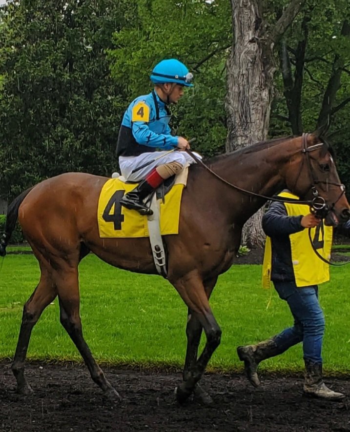 2nd race <a href="/DelParkRacing/">Delaware Park</a> in a card decimated by rain. <a href="/ACrispin86/">Alexander Crispin</a> spices it up as chalk ran off the board.