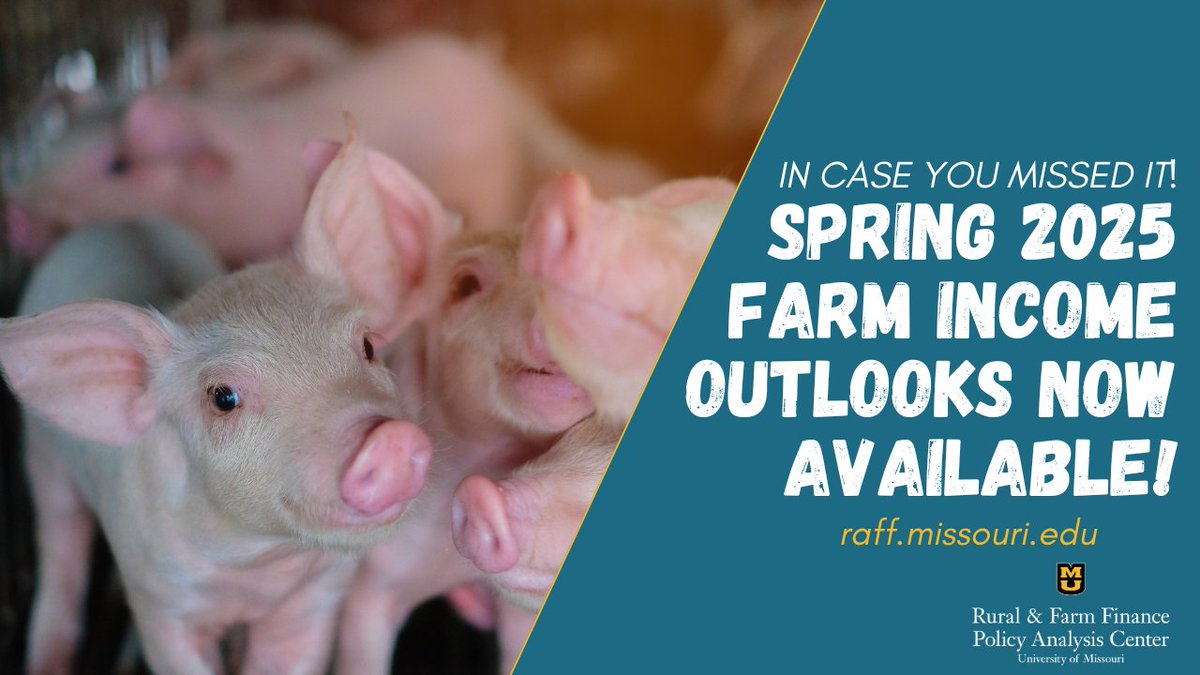 In Case You Missed It: All 10 State Farm Income Outlooks Are Live!

RaFF’s Spring 2025 reports show net farm income is projected to rise in all 10 states.

Key drivers: historic gov’t payments, shifting input costs, and market trends.

📊 Read more: raff.missouri.edu/farm-income/