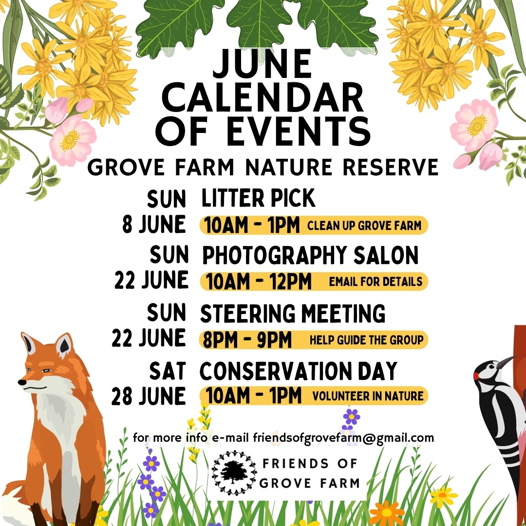 GroveFarmEaling's tweet image. Join us this June for an adventure with Friends of Grove Farm! Whether it's a guided walk 🚶 or an activity day 🛠️, we’d love to see you at Grove Farm nature reserve! Link in Bio for our contact details.
#volunteers #createsomething #friendsofgrovefarm