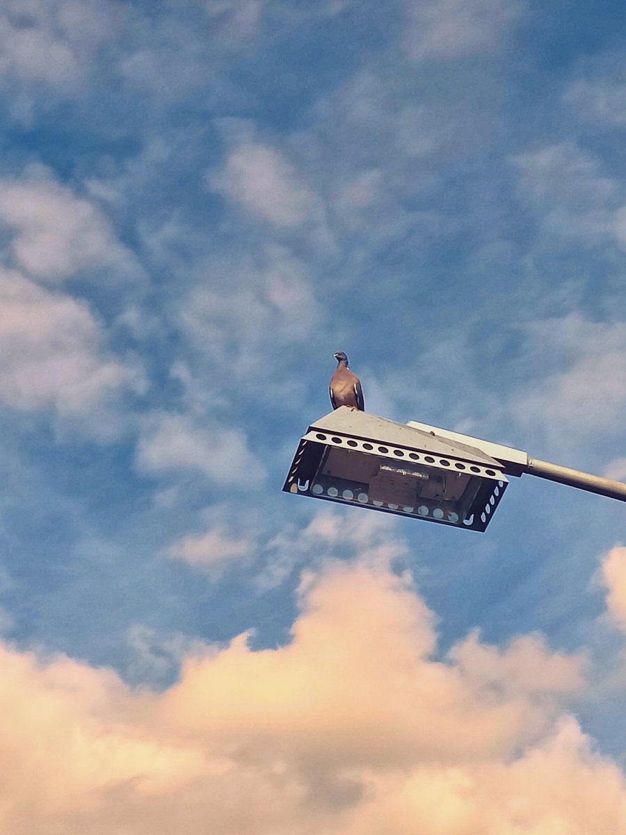 ZwyBel (@zwybel) on Twitter photo 