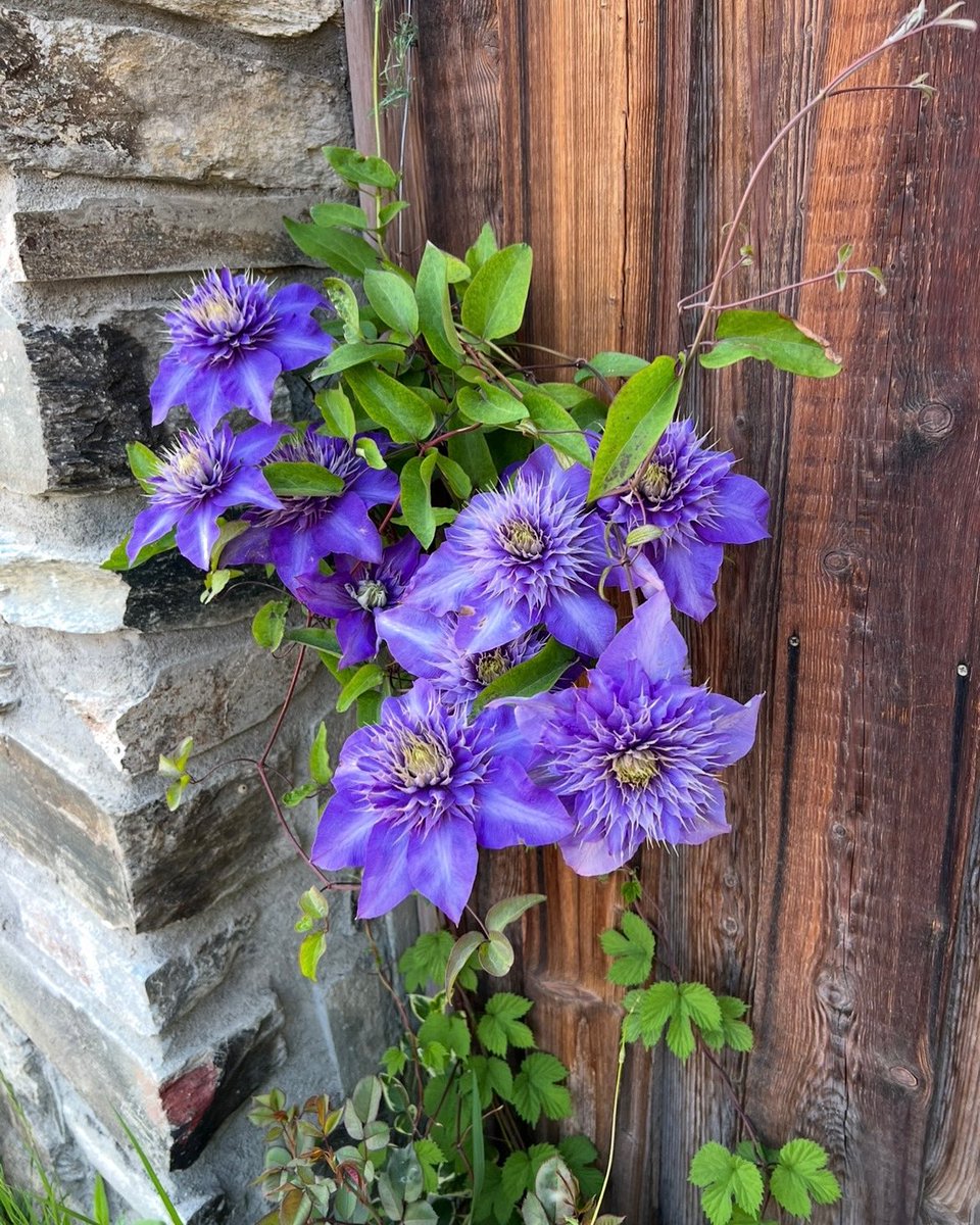 In stiller Verbundenheit mit Blatten und dem ganzen Lötschental, wenn Worte fehlen.