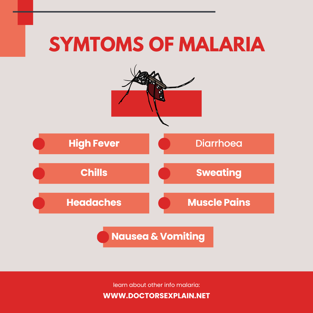 DocsExplainFM's tweet photo. 🚨 New AI-powered #Malaria diagnostic system detects 5 strains with 99.2% accuracy, predicts drug resistance, and guides treatment using real-time data from Sub-Saharan Africa. 💉🌍
Fight smarter ➡️ https://t.co/zlVoadOjTk
#AIinHealthcare #GlobalHealth #MalariaAlert 🧬🦠 https://t.co/Co01QAlYDG
