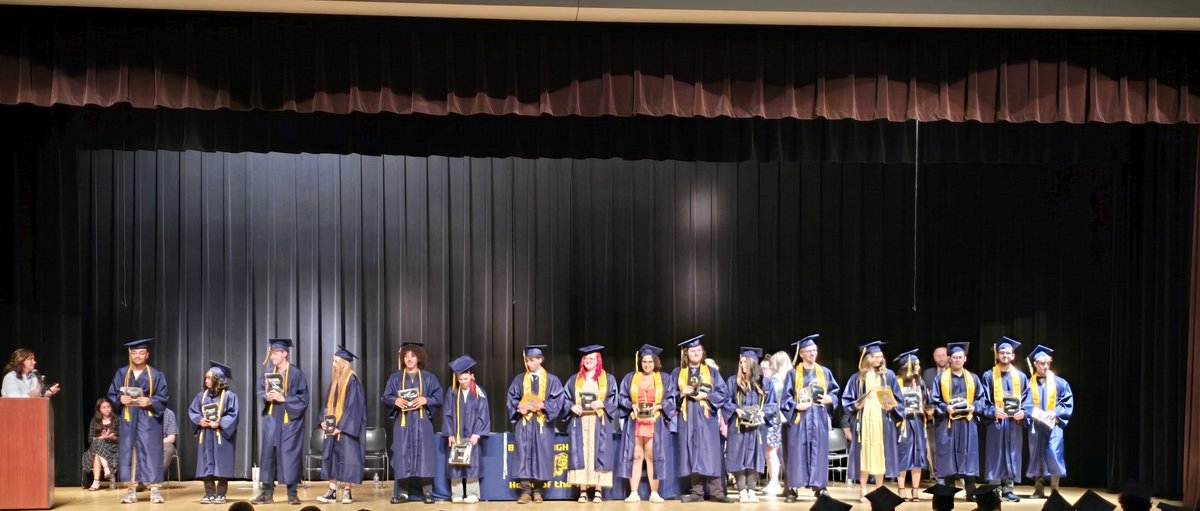 Bendle Seniors 2025