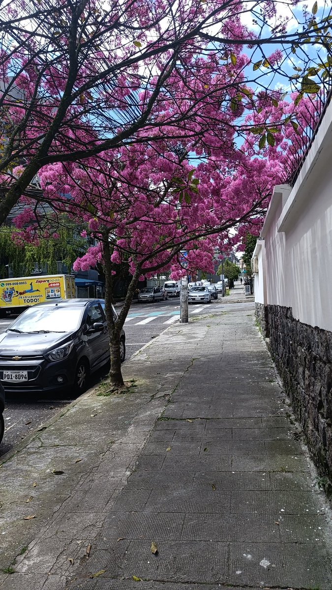 Pedro Donoso (@pedrodonoso80) on Twitter photo 