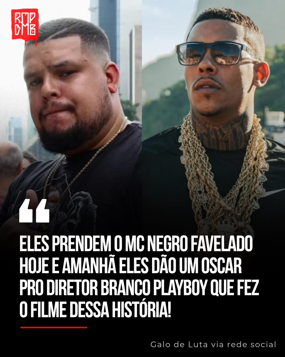 Galo de Luta, cirúrgico ✍🏼
