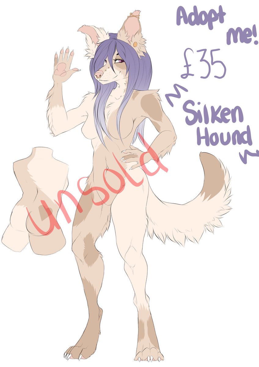 sudo skye.sh tweet media