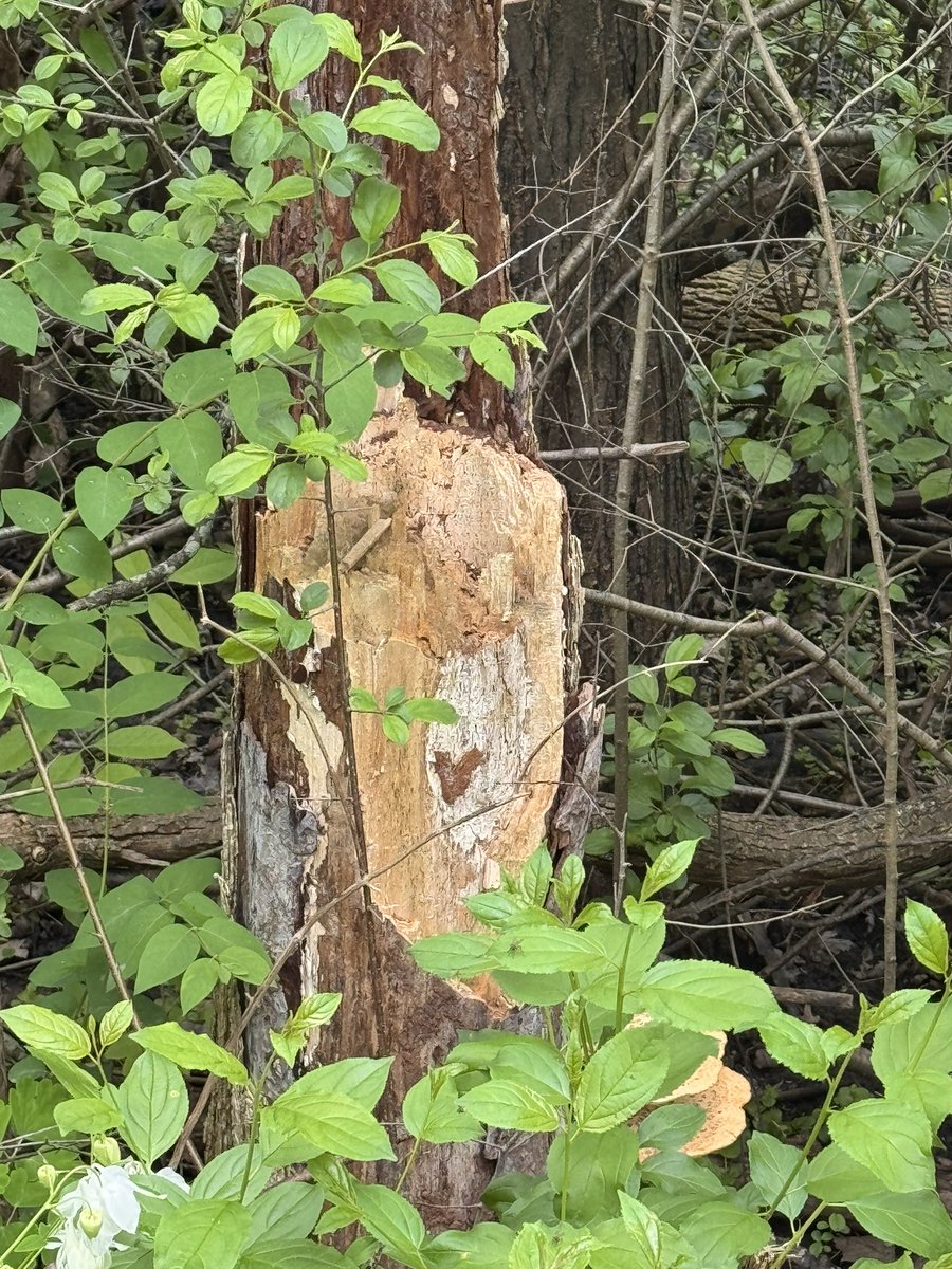 Found this on my walk today. Coincidence? No way