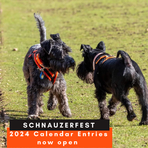 We ask, you give, together we deliver - mailchi.mp/schnauzerfest/…