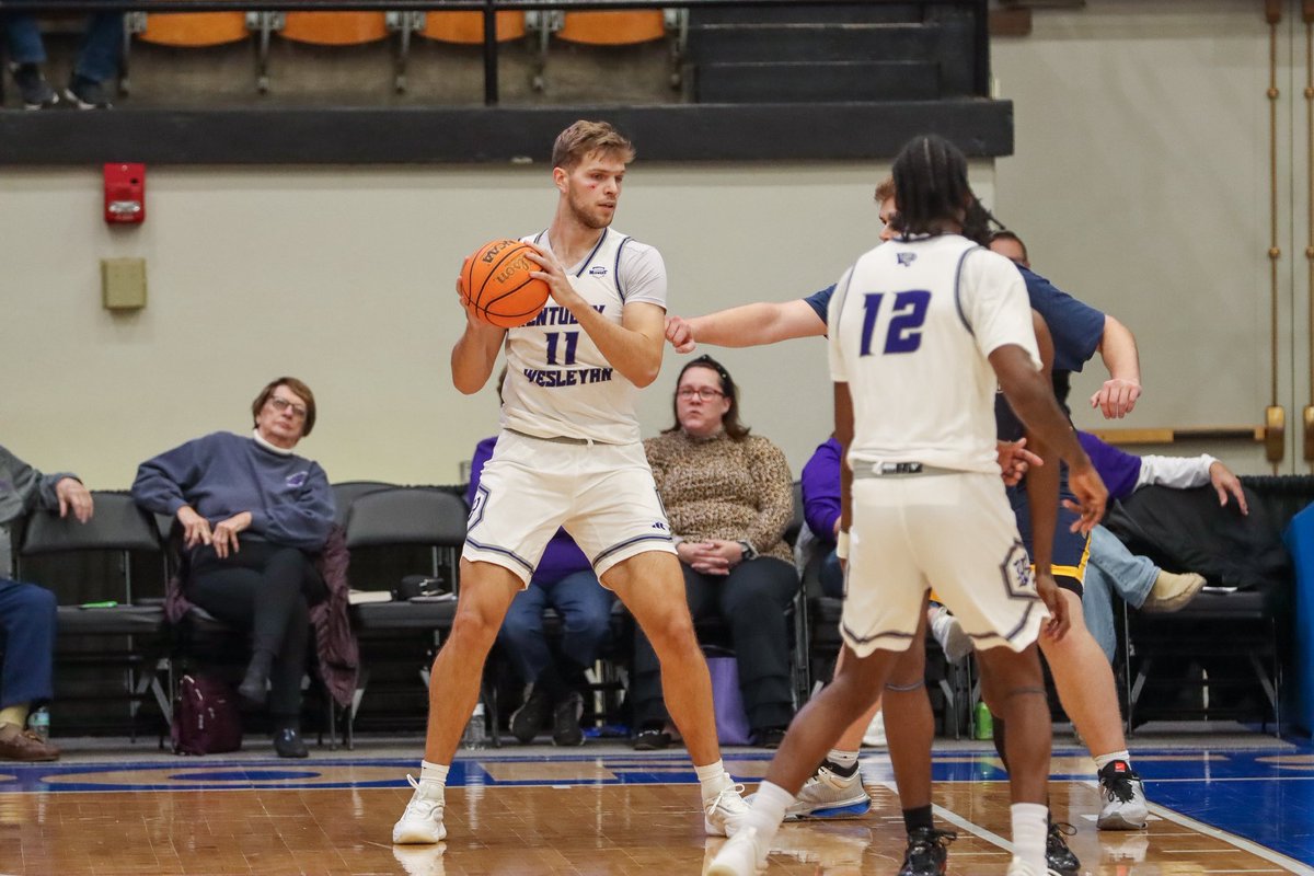 The Portal Report tweet media